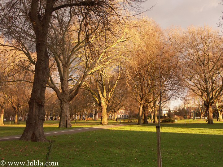 Hibla: December 31 3:50 PM the Capricorn Sun  sets on London Fields  Click for next picture