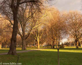  Hibla: December 31 3:50 PM the Capricorn Sun  sets on London Fields  Click to Enlarge Picture