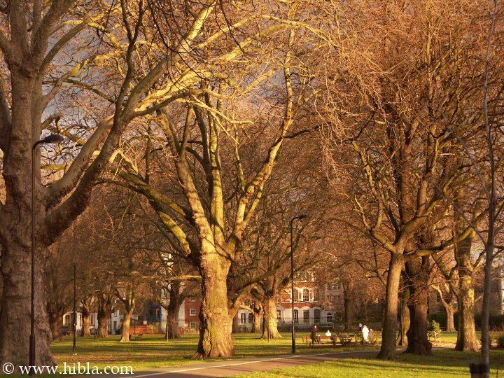 Hibla: December 31 3:50 PM the Capricorn Sun  sets on London Fields  Click for next picture