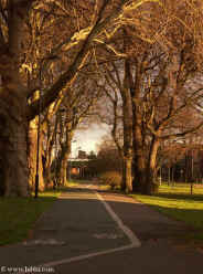 Hibla: December 31 3:50 PM the Capricorn Sun  sets on London Fields  Click to Enlarge Picture